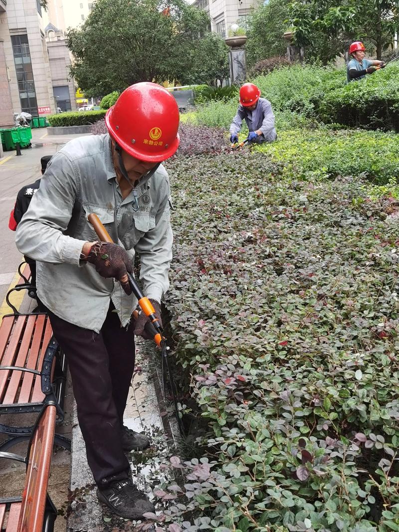 山东物业公司：推动社区服务水平迈上新台阶